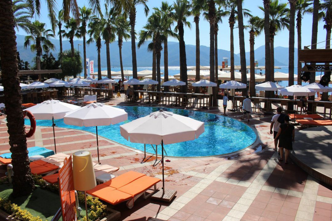 Зонт профессиональный Avocado 2,5 м