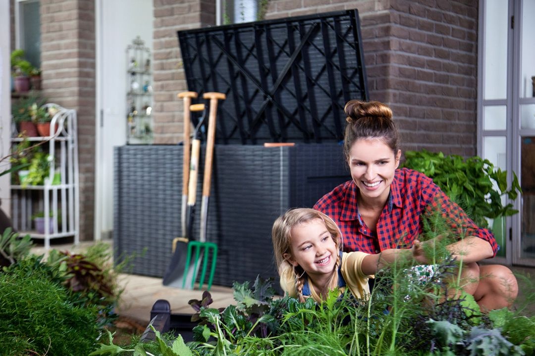 Сундук Ява (Java 850L)