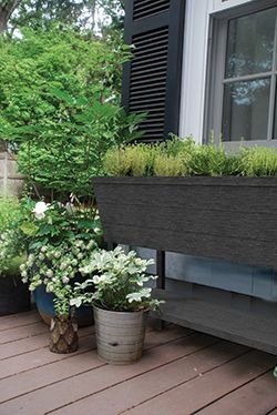 Готовая грядка Урбан Блумер XL (Urban Bloomer XL)