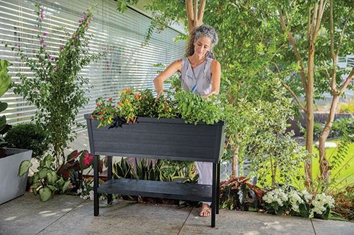 Готовая грядка Урбан Блумер XL (Urban Bloomer XL)