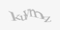 Защитный код